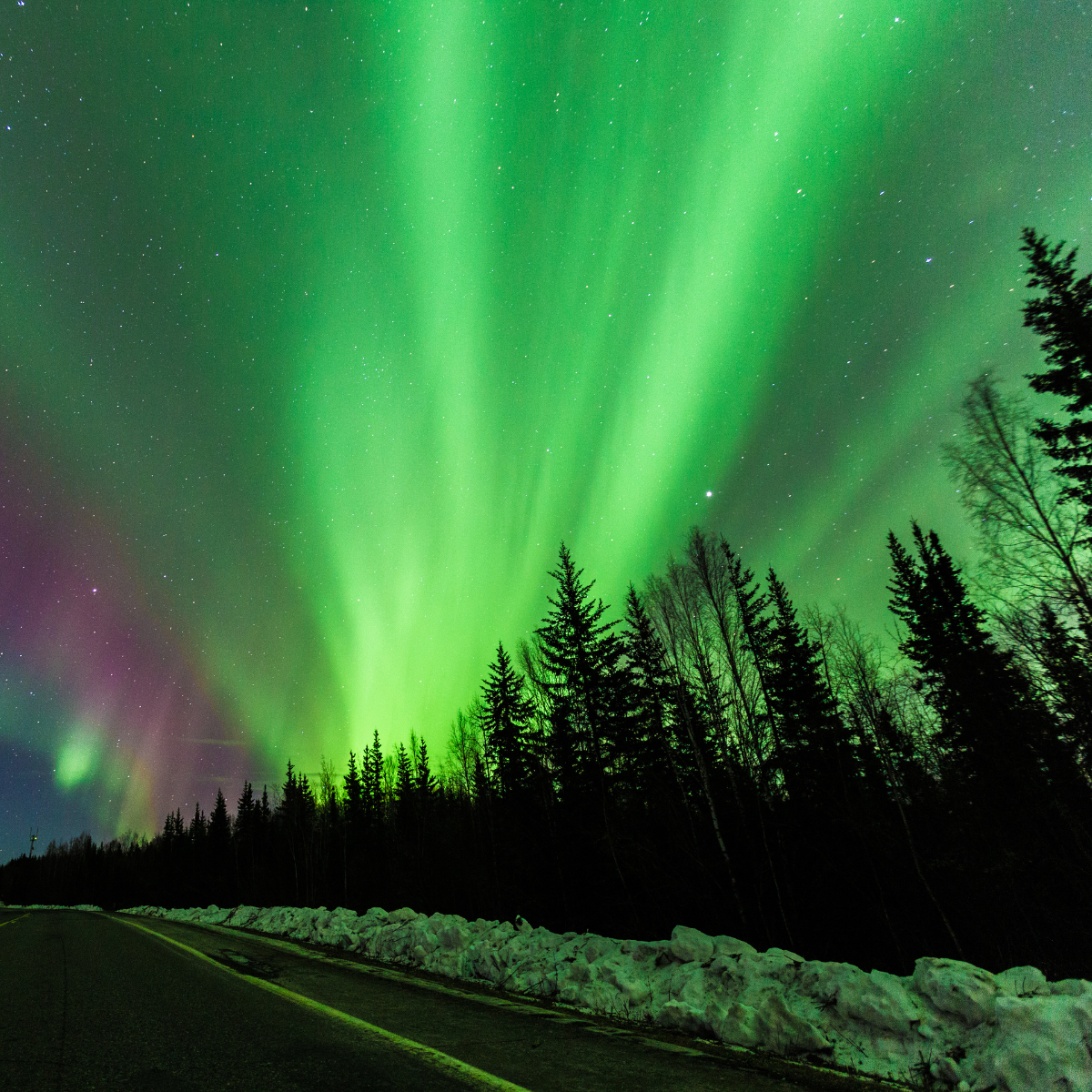 The Northern Lights Art Inspiration Workshop For Children
