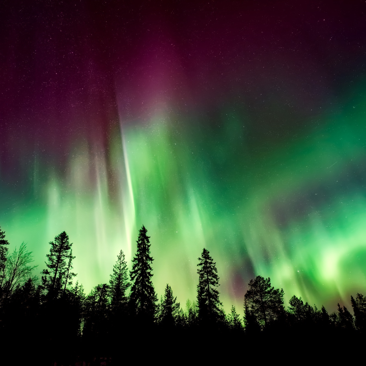 The Northern Lights Art Inspiration Workshop For Children